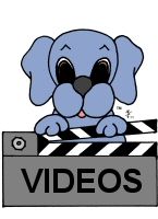 The Dreamee Dog Videos