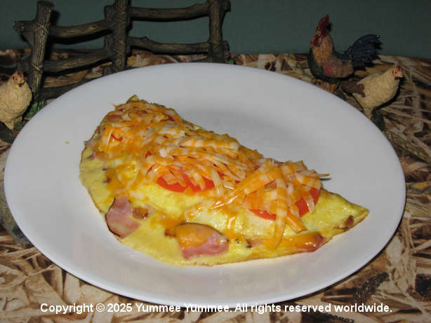 An omelet is delicious for breakfast, lunch, or dinner. Take a peek at the recipe. It's Yummee Yummee!.